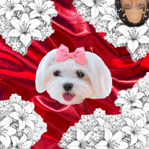 I Was A Lil Bitch (Instrumental)