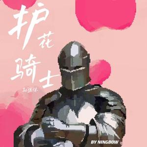 护花骑士