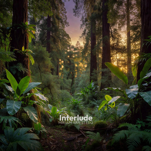 Interlude