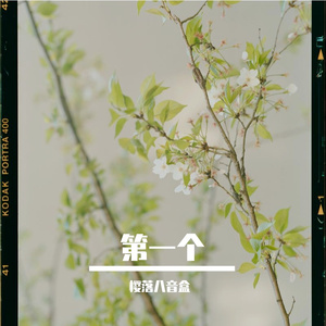 椰树