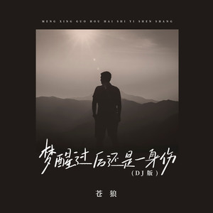 梦醒过后还是一身伤 (DJ版)