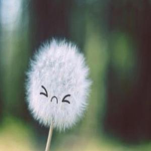 bran new luv song (feat. bat64)