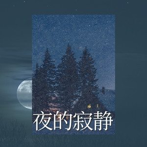 夜的寂静