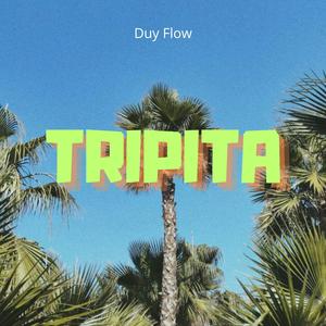 TRIPITA