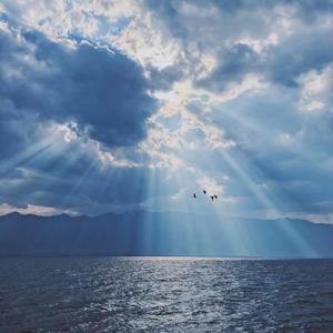 NO Delivered Cover 陳希檑