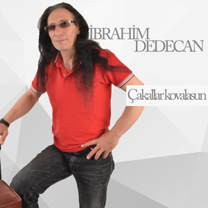 Çakallar Kovalasun