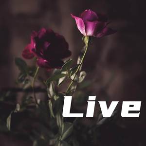 Live