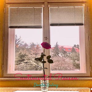 Sentimental Reason