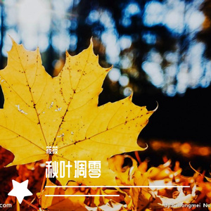 秋叶凋零