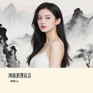 河南浪漫宣言 (刘艺人 Remix)