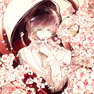 いつか降る雨、桜[For Namiki]