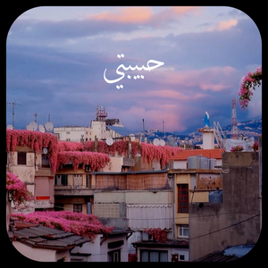 Habibati