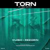 REZarin - Torn (feat. Sam Welch) [Nocturnalle Remix]
