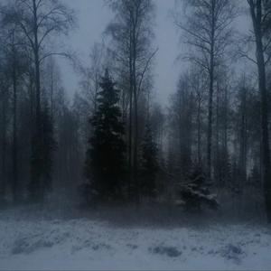 cold (feat. sorrywemet)