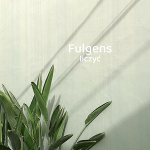 Fulgens liczyć