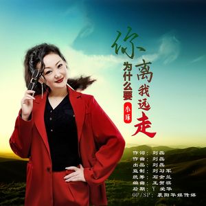 你为什么要远走