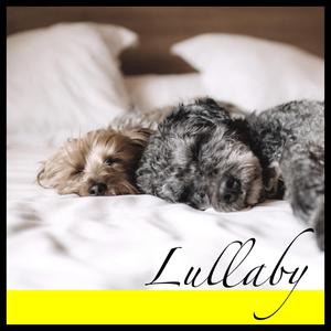 리스트 사랑의 꿈