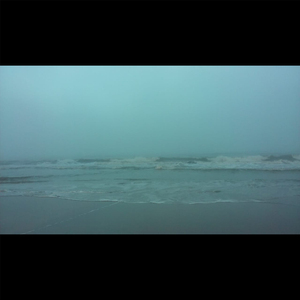 No Podes Estar Despierto Si Ois una Cigarra en la Orilla del Mar