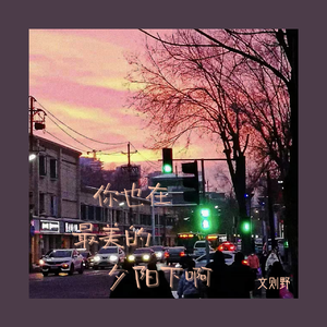 你也在最美的夕阳下啊