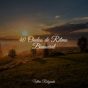 Revolotea en La Brisa