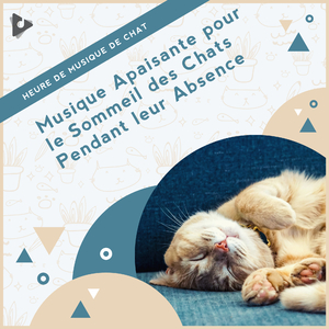 Piano pacifique pour l'anxiété