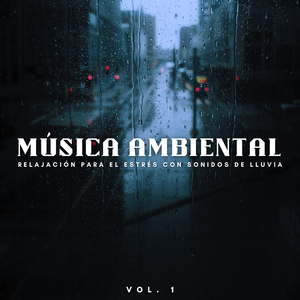 Sonidos Del Suelo De Lluvia