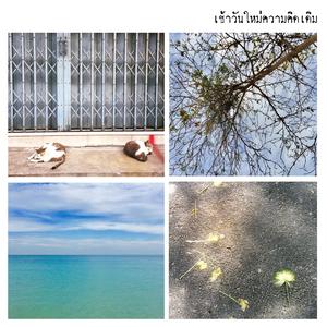 ความจริง หรือ แค่ภาพลวง