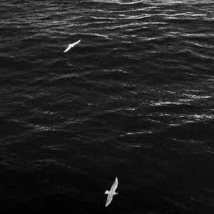 我们都是被抛弃的小丑