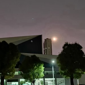 用我的方式喜欢你很久