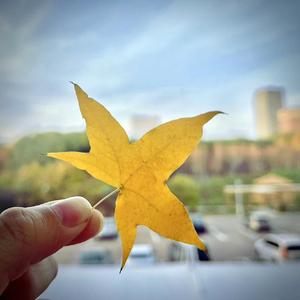 如斯（Cover：丢火车乐队）