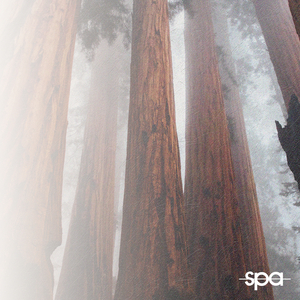 Tremorland (Radio Edit)