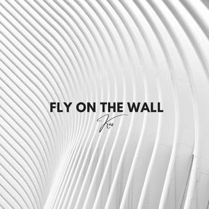 Fly on the Wall