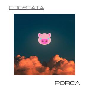 Porca