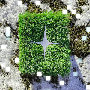 Sailing Through Colorful Currents