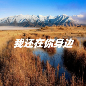 我还在你身边