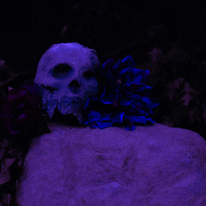 The 812 Cypher (feat. Zerques, Sage Stone, CROPTOP, its kobi, ProdByYokai & Frenzy)