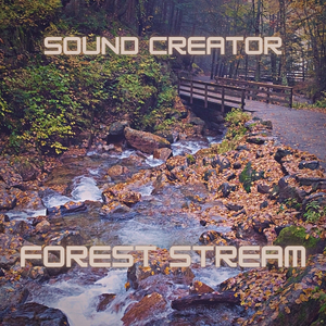 Forest Stream 02