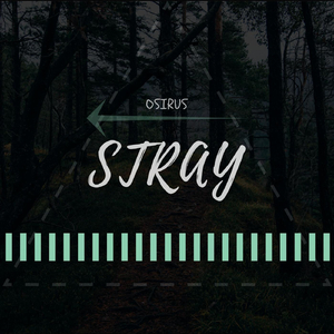 Stray