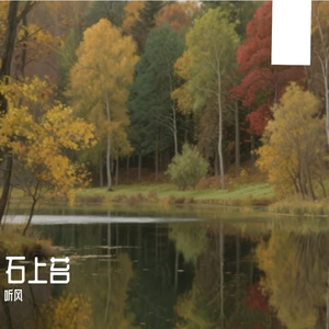 石上苔