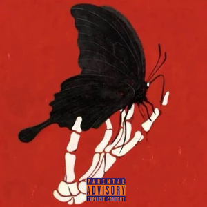 裂变蝶【解不开的puzzle】