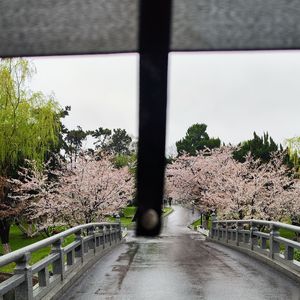 风驶过的声音是