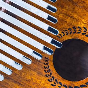 Vivaldi Spring [Kalimba]