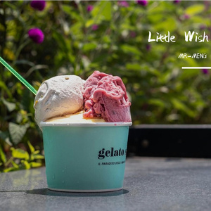 Little Wish（Tropical House）