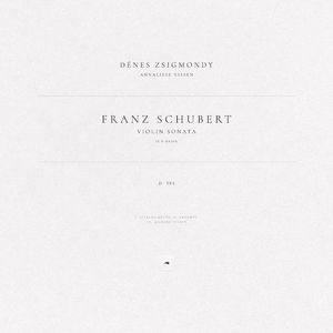 Violin Sonata in D Major, D. 384: I. Allegro molto