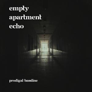 Empty Apartment Echo