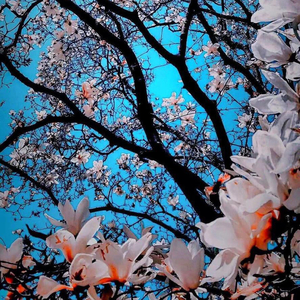 让我留在你身边