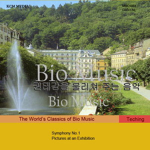 Pictures at an Exhibition ll.The old Dastle