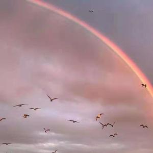 男孩（翻自 歌手）