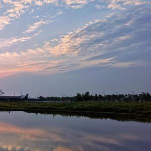 和你永远在一起