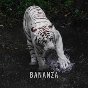 Bananza